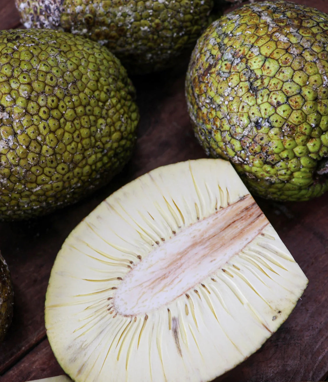 BREADFRUIT FRESH ALSO CALLED ULU OR PANAPEN  up 6 pounds box